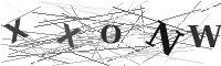Please refresh your browser to see this image.